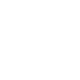 Portfolio Logo MCQ Instruments