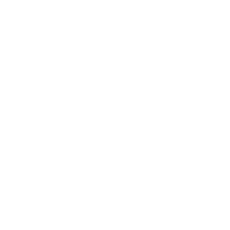 Novartis Logo