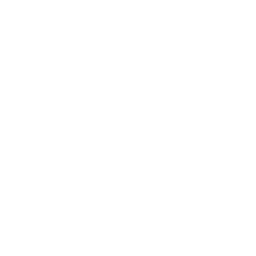 Roche Logo