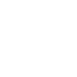 Toyota Logo