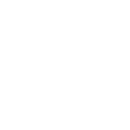 Ucla Logo