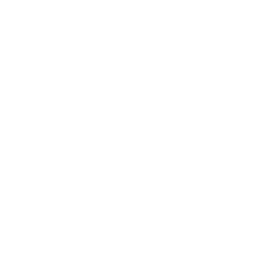 Yale Logo